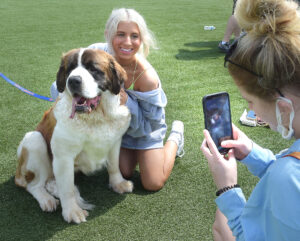 Paws, Pictures, Pets, Oh My!